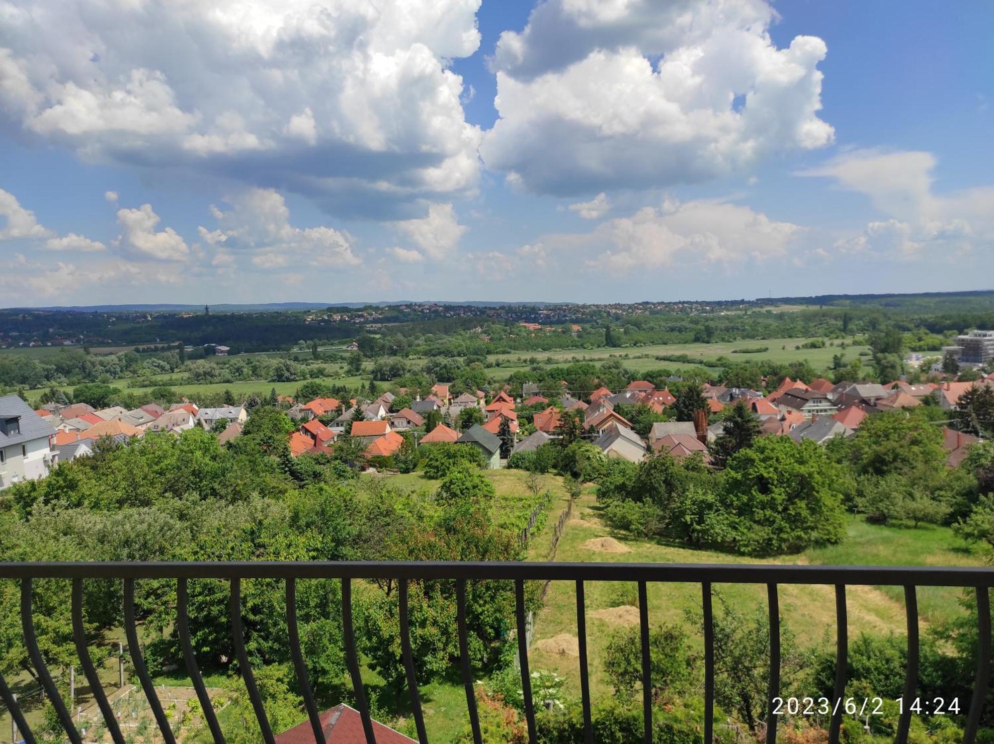 Flora Villa Heviz Bilik gambar