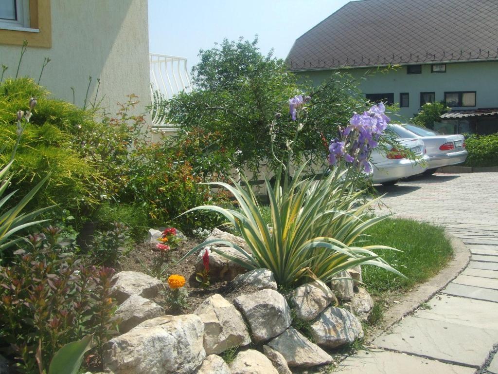 Flora Villa Heviz Luaran gambar