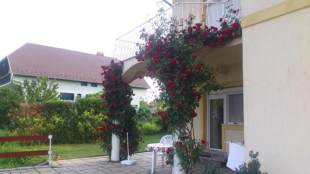 Flora Villa Heviz Bilik gambar